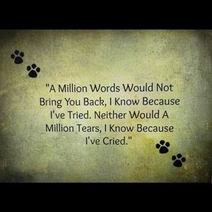 Meet your Posher, Leonor